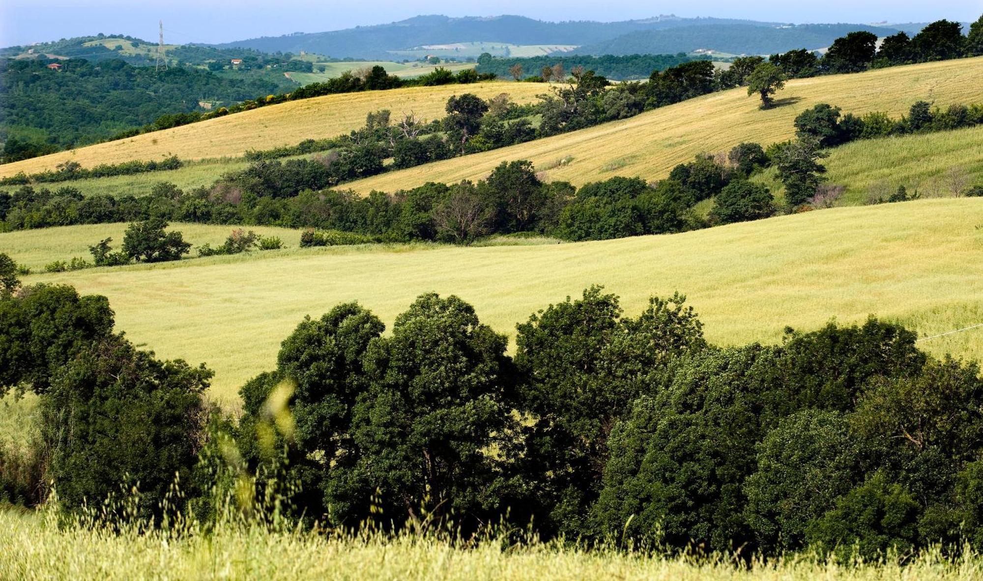 Saturnia Tuscany Country House Extérieur photo